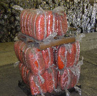 Poly Bags - Contact us in Willacoochee, Georgia, for geotextile, erosion control, weed control, and nursery products.